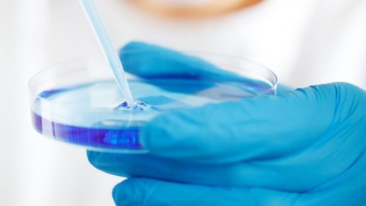 Cell Culture Media: Why Go Serum-Free?