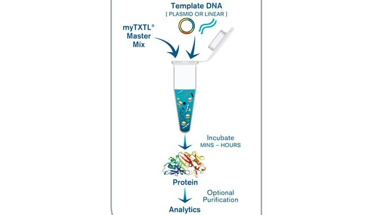 Cell-Free Expression Systems in Bulk