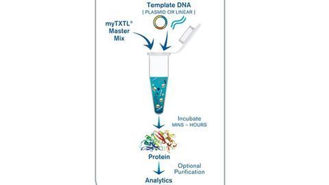 Cell-Free Expression Systems in Bulk