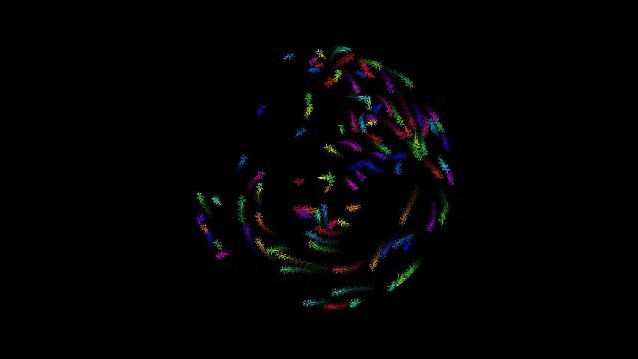 Deep Learning Tool Enables Animal Behavior Monitoring