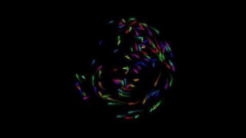 Deep Learning Tool Enables Animal Behavior Monitoring