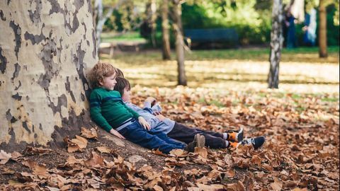 At What Age Do Children Learn That One Good Turn Deserves Another?