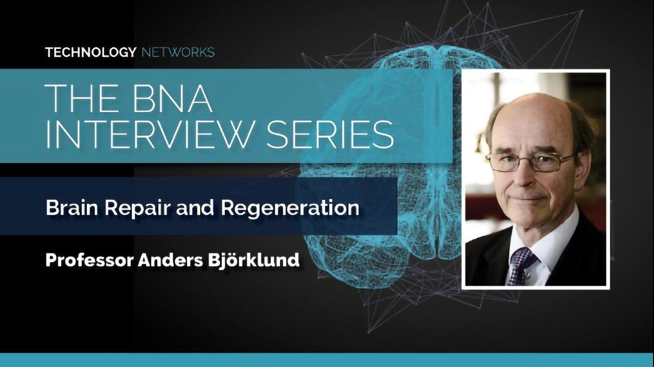BNA Interview Series: Brain Repair and Regeneration With Professor Anders Björklund