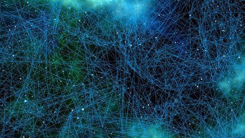 "Wisdom of the Crowd" Predicts Biological Circuit Activity