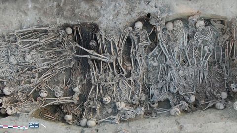 Ancient Genomes Tell the Genetic History of the Second Plague Pandemic