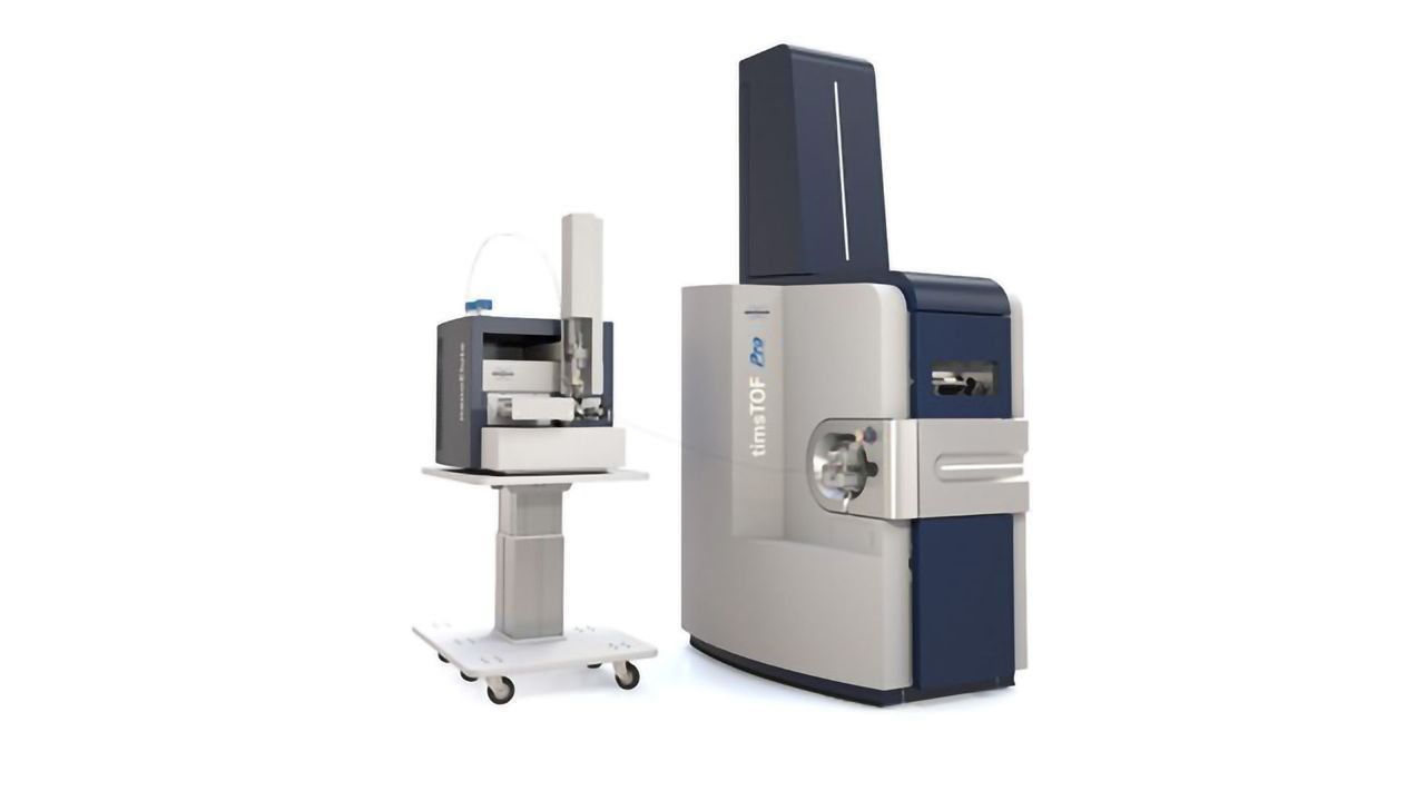 Targeted Proteomics with the diaPASEF Workflow