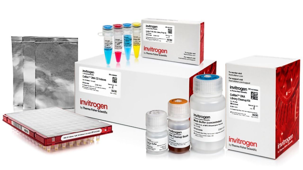 Invitrogen™ Collibri™ DNA Library Prep Kits for Illumina™ Systems