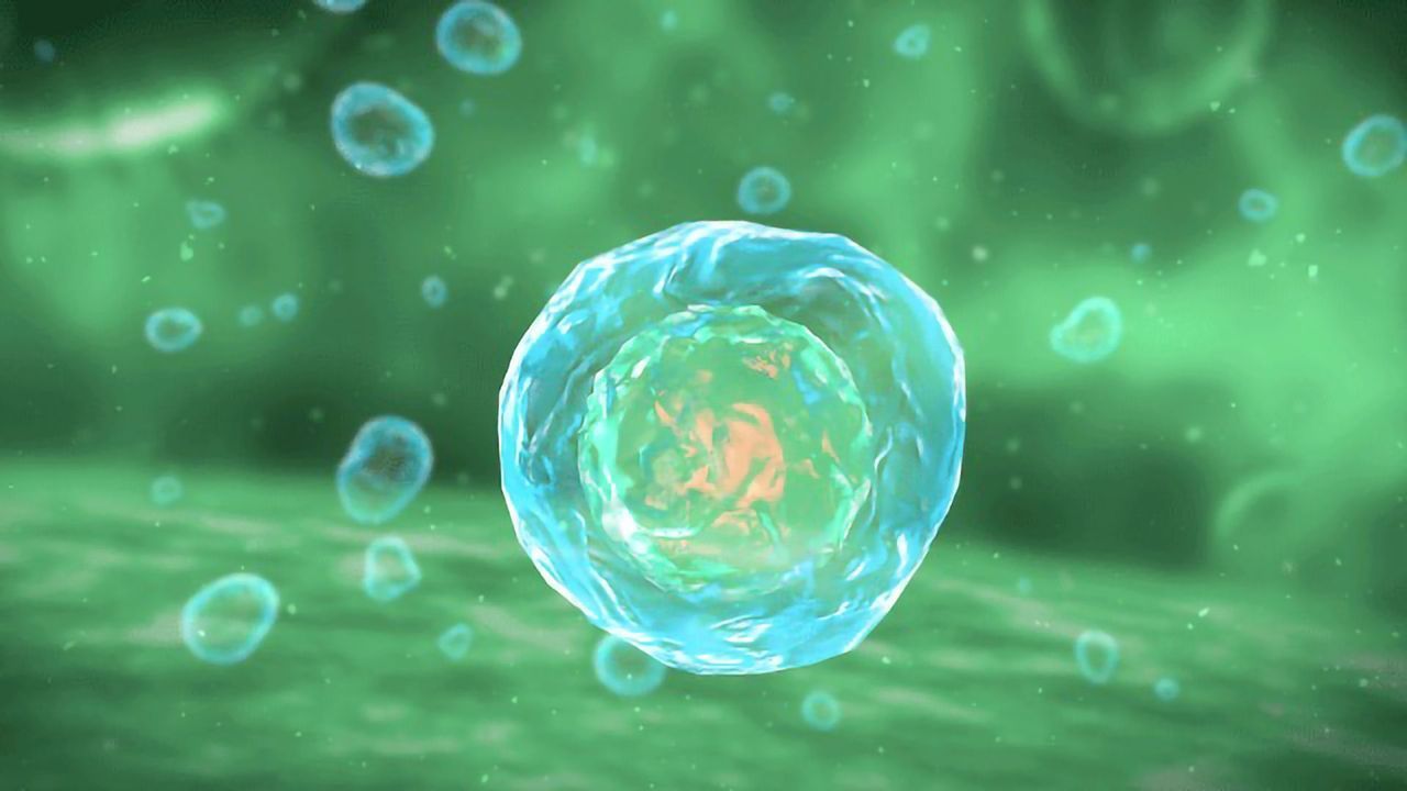 One-by-One and All-at-Once: The Future of Cellular Phenotypic Screening