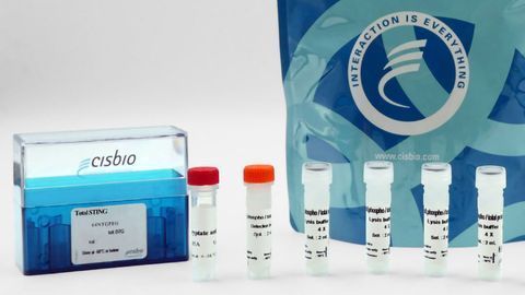 Total STING Cellular Kit