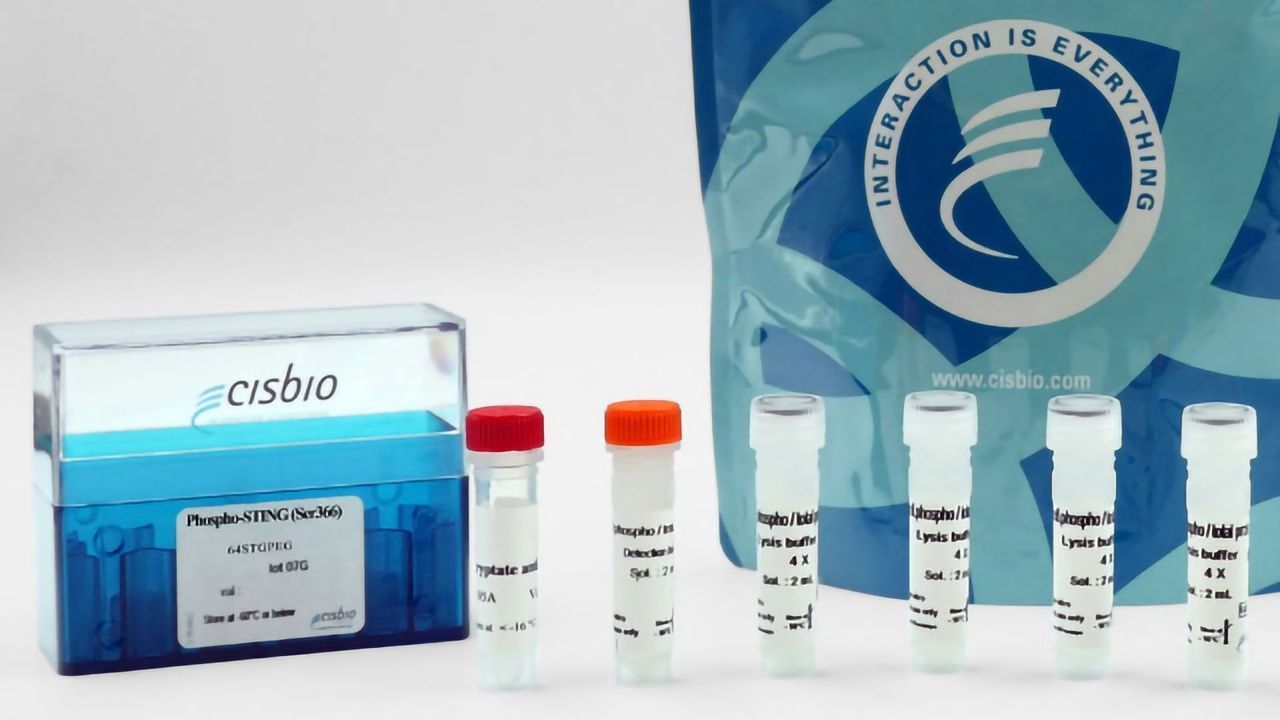 Phospho-STING (Ser366) Cellular Kit