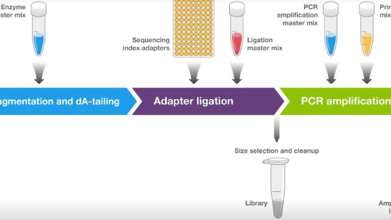 Invitrogen™ Collibri™ NGS Library Preparation Kits for Illumina™ Systems