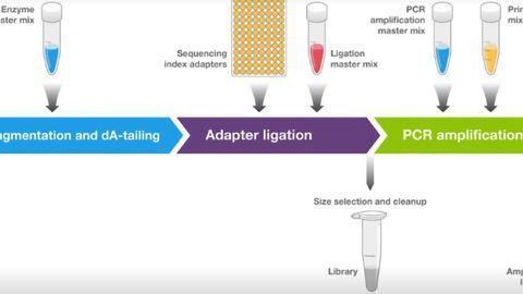 Invitrogen™ Collibri™ NGS Library Preparation Kits for Illumina™ Systems