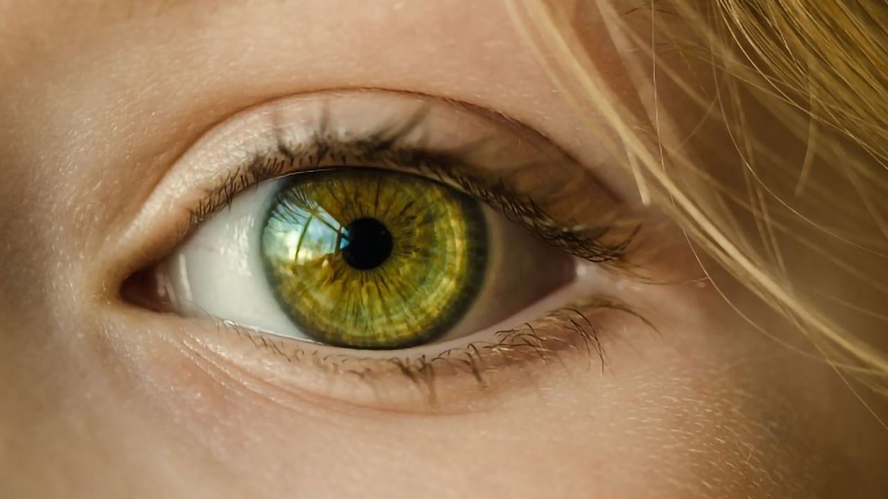 Researchers Reveal Molecular Basis of Vertebrate Vision
