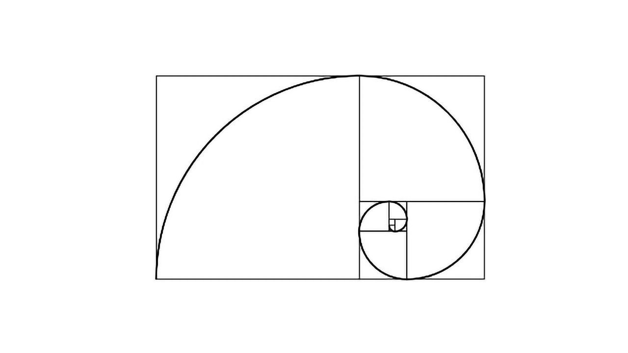 Human Skulls Follow da Vinci's Golden Ratio