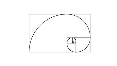 Human Skulls Follow da Vinci's Golden Ratio