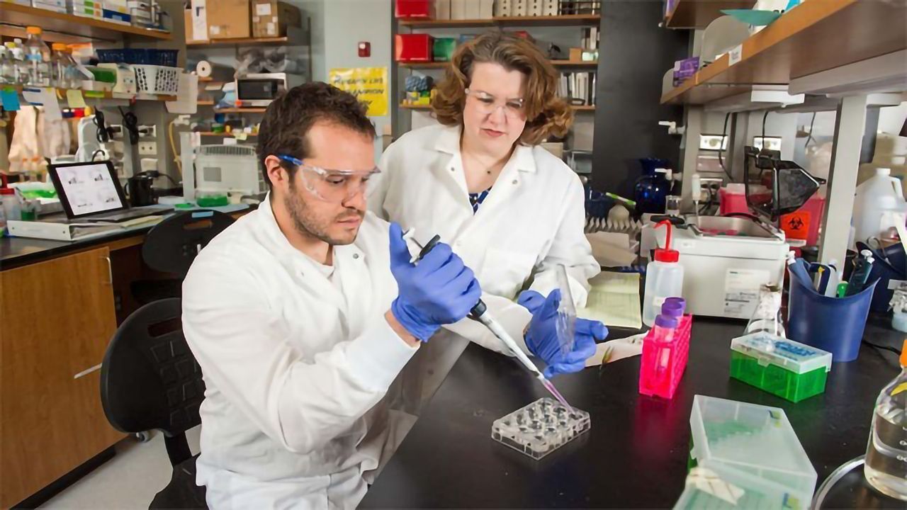 Researchers Uncover Why Breast Cancer Can Spread To Bone