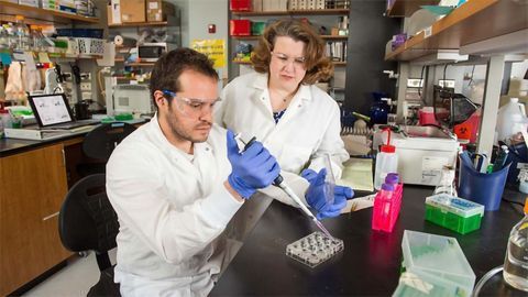 Researchers Uncover Why Breast Cancer Can Spread To Bone