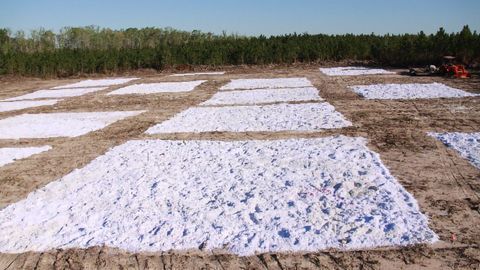 Waste Paper Revitalizes Tired Soil