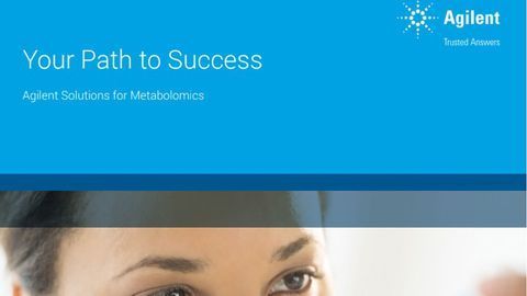 Your Path to Success