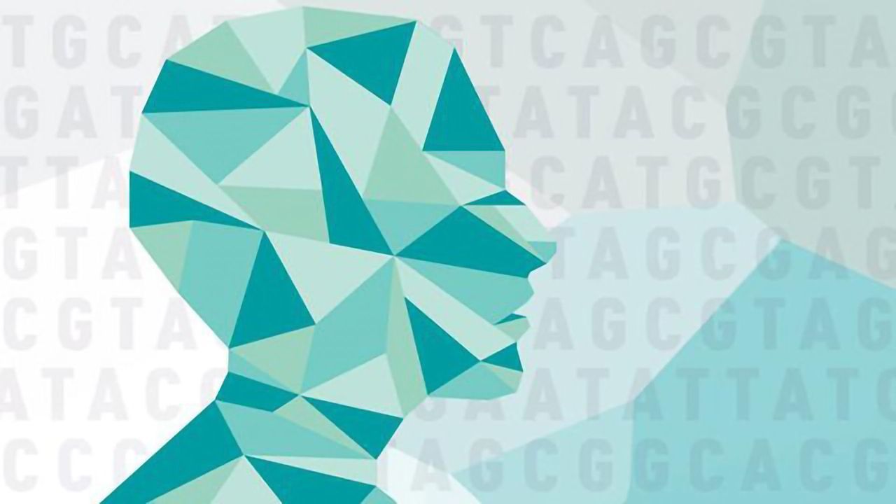 PTSD Has Strong Genetic Component Like Other Psychiatric Disorders