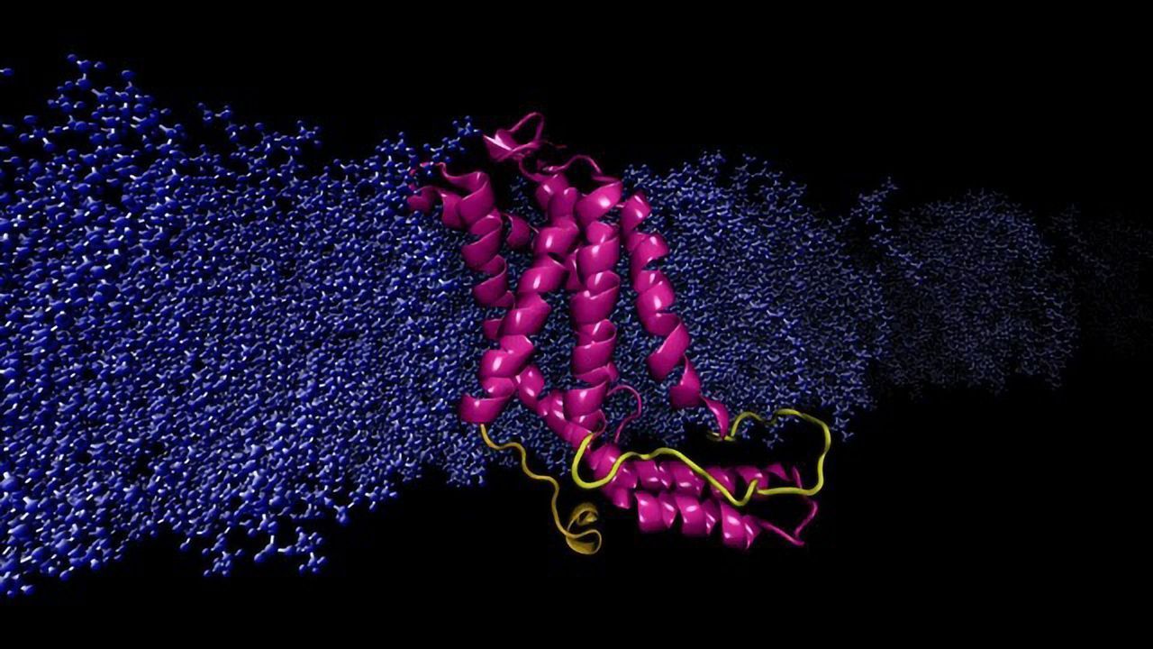 Method To Determine Protein Structure Could Provide Inaccurate Info