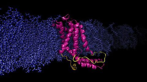 Method To Determine Protein Structure Could Provide Inaccurate Info
