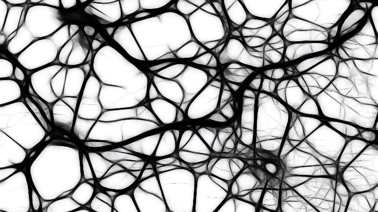 Stem Cell Treatment Reverses Demyelinating Disease