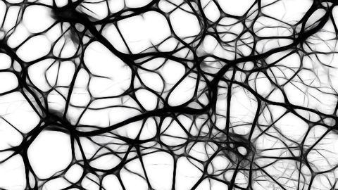 Stem Cell Treatment Reverses Demyelinating Disease