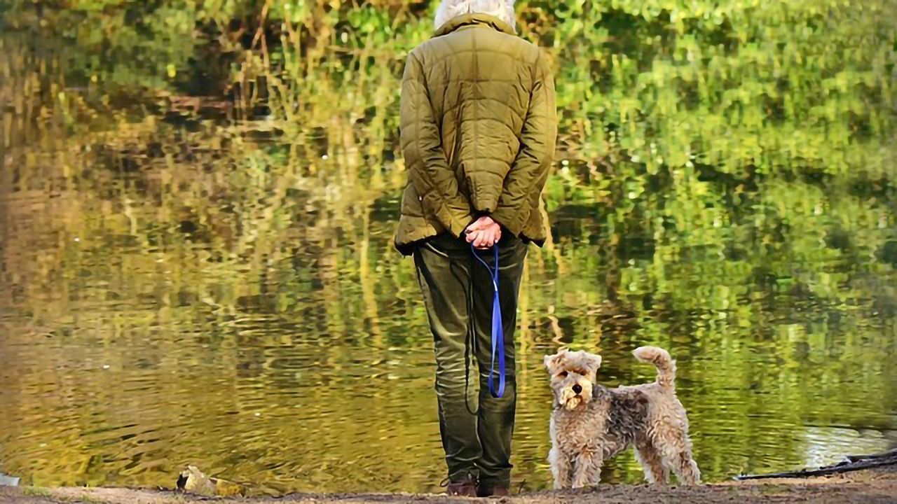 Dog Ownership Linked to Longer Life for Heart Attack Survivors