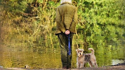 Dog Ownership Linked to Longer Life for Heart Attack Survivors
