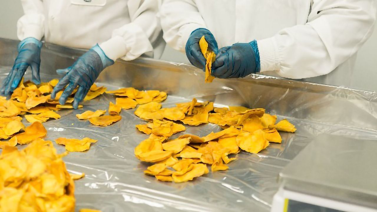 Food and Drink Industry: Does Your Project Qualify for Financial Support?