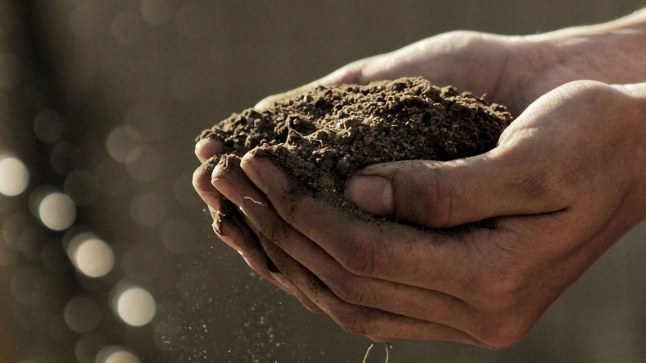 How the Latest Data Management Solutions Offer Fertile Ground for Soil Analysis