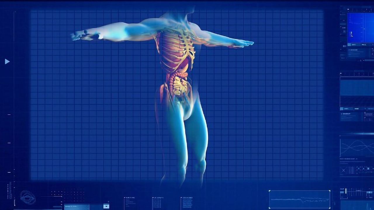 First Cell Map of Developing Human Liver Created