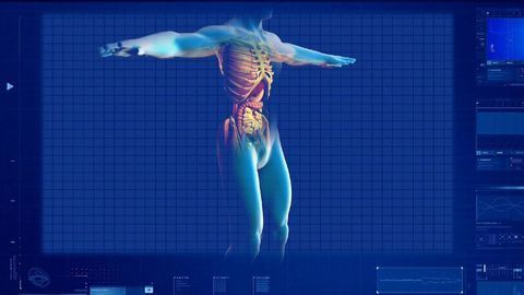 First Cell Map of Developing Human Liver Created