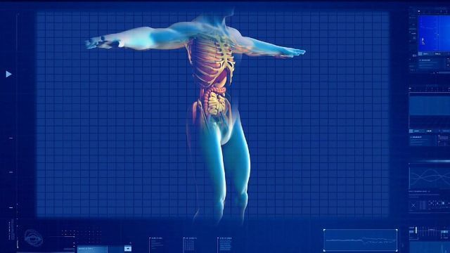 First Cell Map of Developing Human Liver Created content piece image 