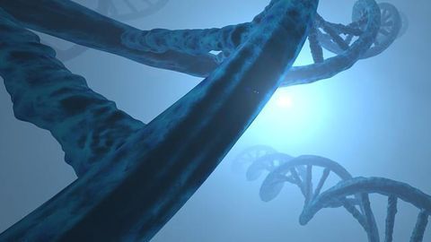 Commonly Mutated Gene Drives Cancer – Learning How To Correct It