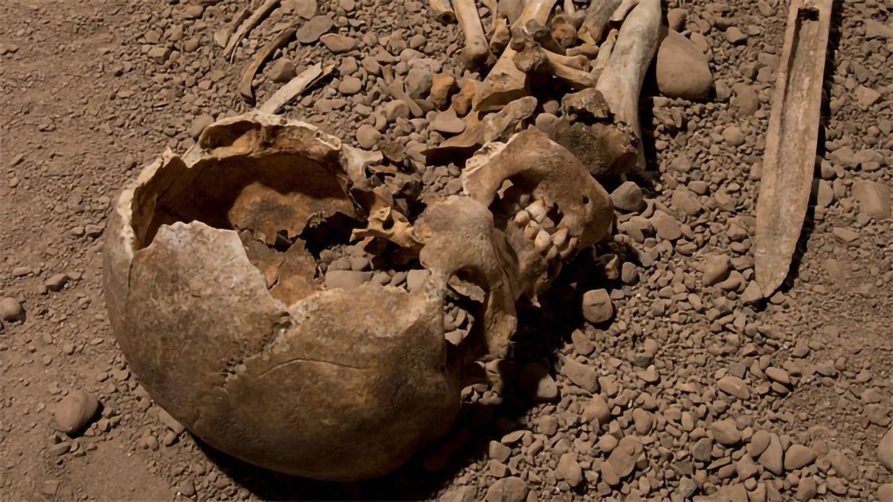 Ancient DNA Sheds Light on the People of the Neolithic Battle Axe Culture
