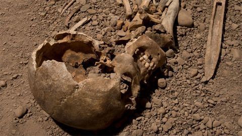 Ancient DNA Sheds Light on the People of the Neolithic Battle Axe Culture