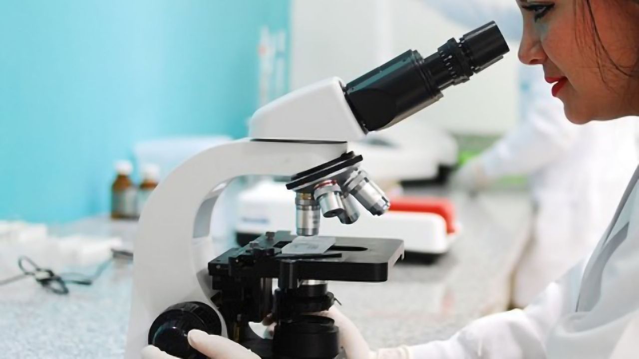 Ovarian Cancer – New Hypothesis Points to Potential Treatment