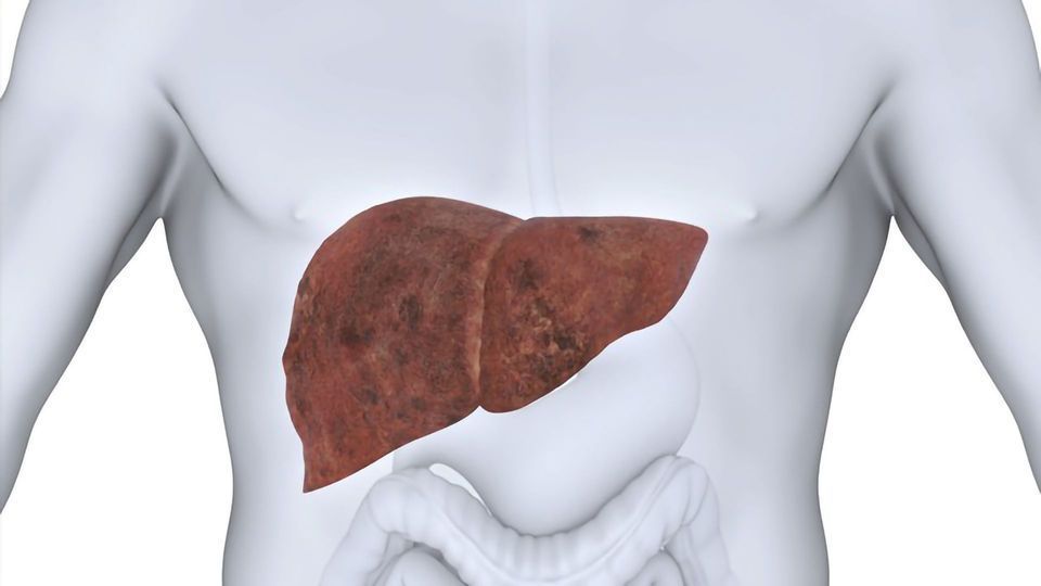 Cell Discovery Could Advance Liver Disease Treatment content piece image