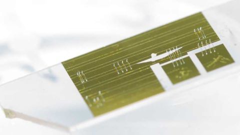Compact Spectrometer Opens New Doors in Portable Analysis
