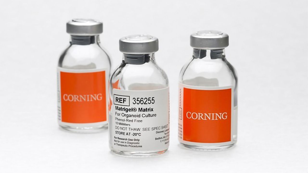 Corning Expands 3D Cell Culture Portfolio