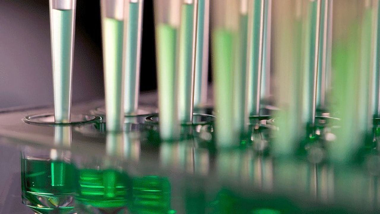 Phenotypic Screening – Advances in Technologies and Techniques
