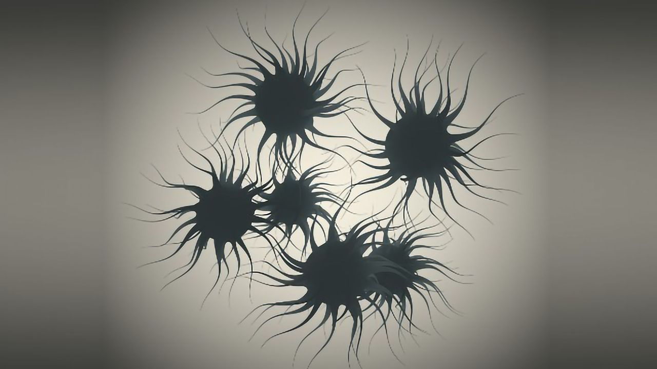 Previously Undiscovered Immune Cell Population Affects Learning and Memory