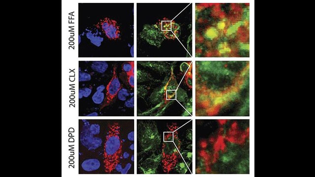 Novel Drugs Could Improve Long-term Treatment of Poorly Controlled Asthma
