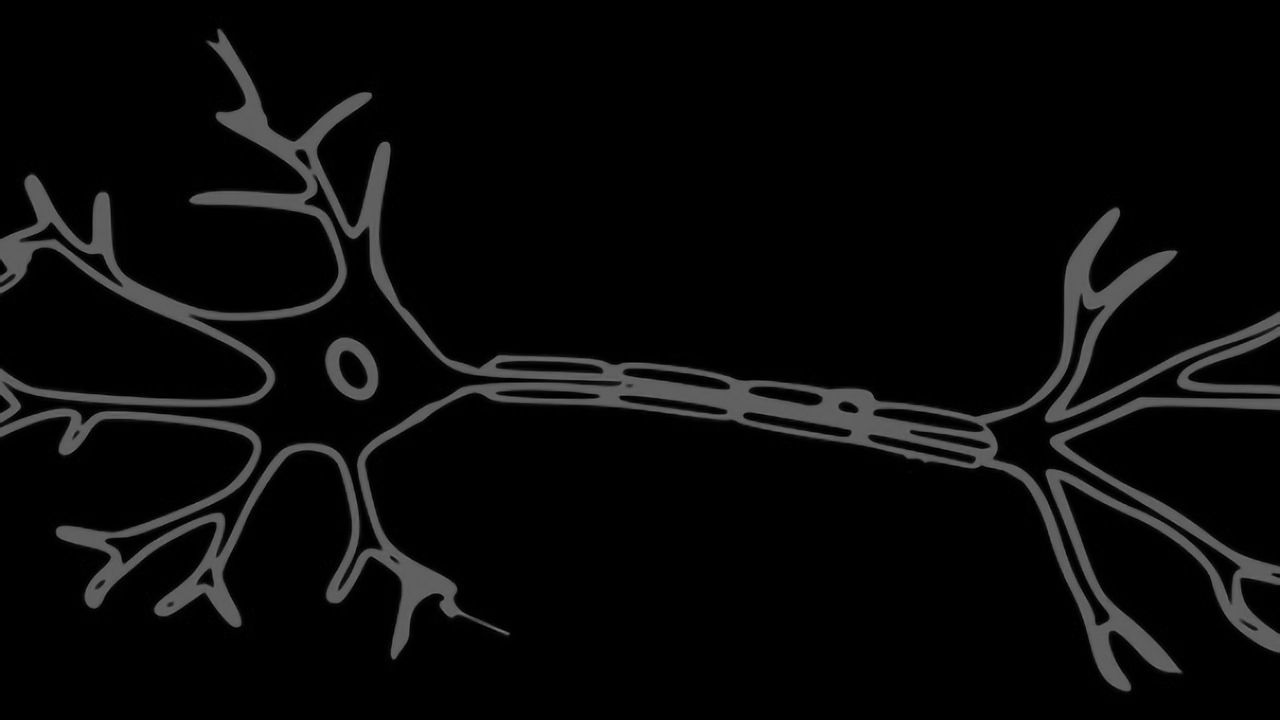 Motor Matter: How Myelin Is Essential for Movement