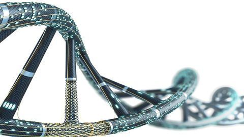 It's Time To Keep Check on the Microbiome