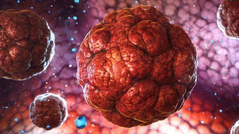 Giving the Immune System a Helping Hand To Find Hidden Cancer Cells