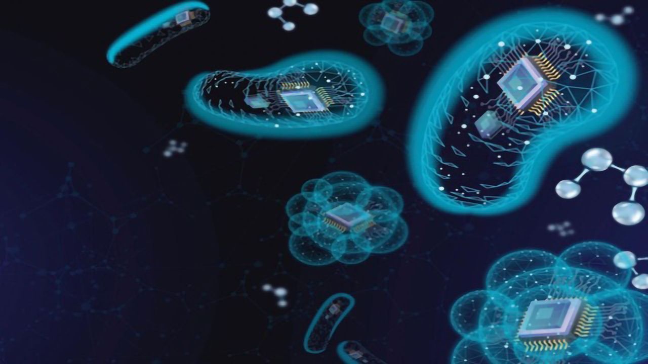 New Genetic Engineering Tool Opens Floodgates of Microbial Metabolite Applications
