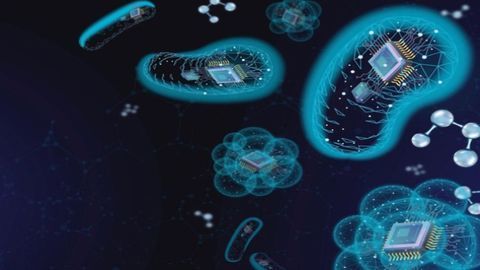 New Genetic Engineering Tool Opens Floodgates of Microbial Metabolite Applications